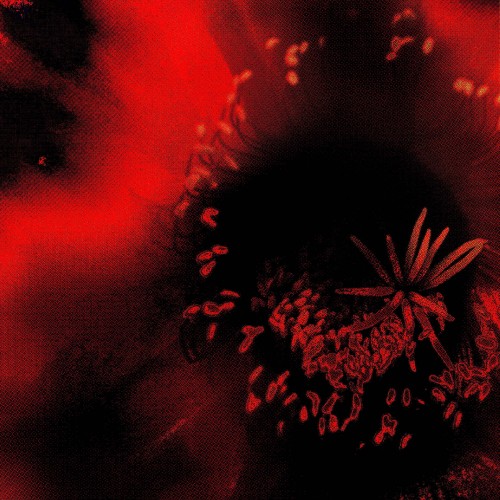 red flower blur darksmudge2 lofi